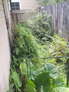 L